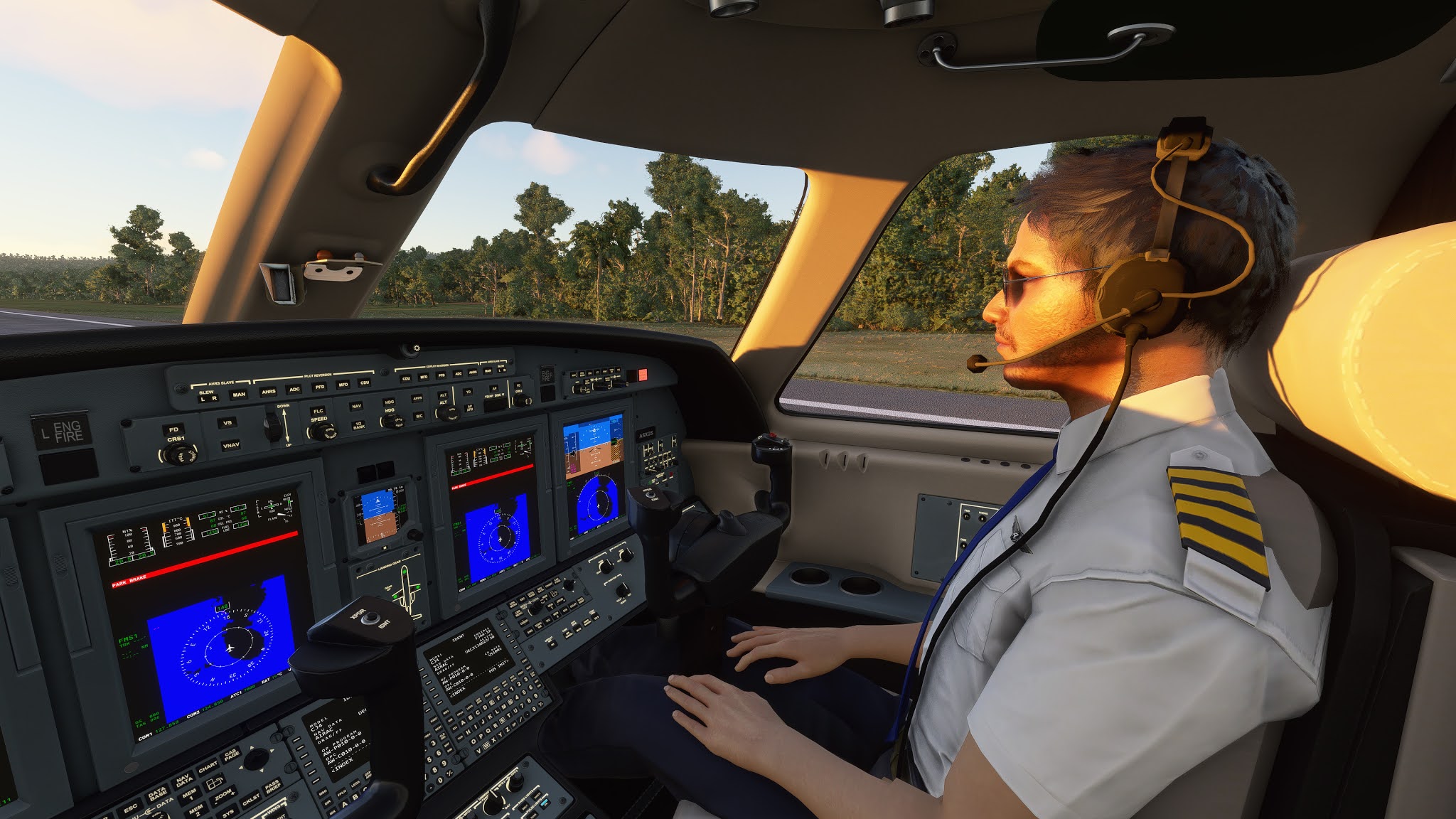 MSFS2020 - Working Visible Copilots - V.1.1