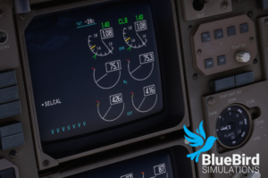 Bluebird757