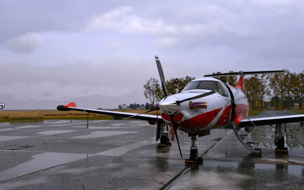 Beauty 009 X Plane2026 10 0211 45 58 9.jpg.9fcaaf2e716c0b1badb61861ee3cc3e1